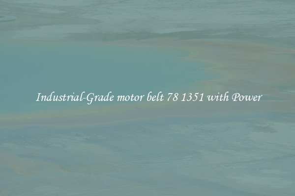 Industrial-Grade motor belt 78 1351 with Power