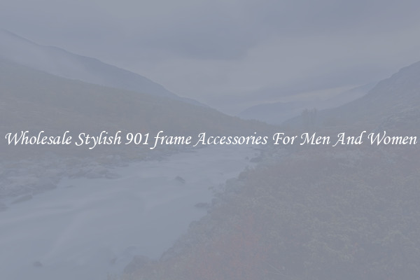 Wholesale Stylish 901 frame Accessories For Men And Women
