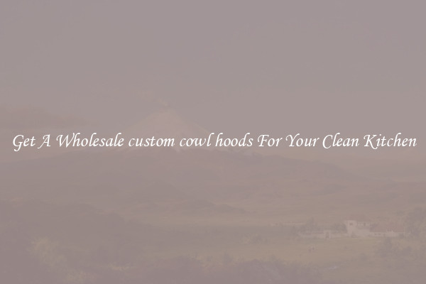 Get A Wholesale custom cowl hoods For Your Clean Kitchen