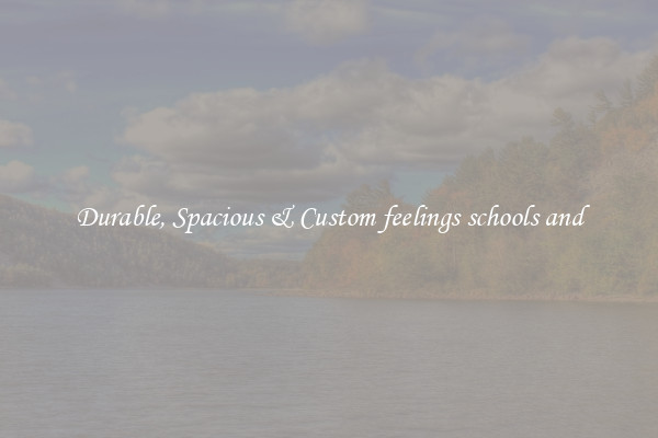 Durable, Spacious & Custom feelings schools and