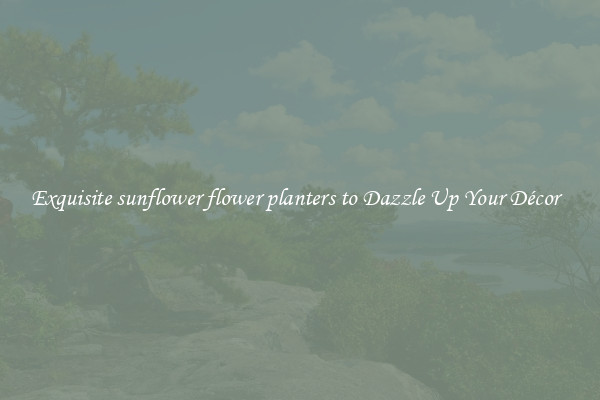 Exquisite sunflower flower planters to Dazzle Up Your Décor  