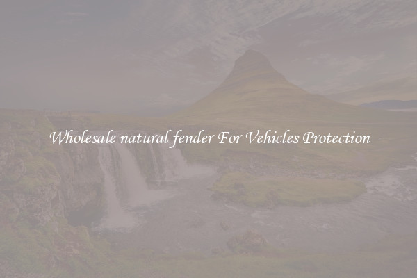 Wholesale natural fender For Vehicles Protection