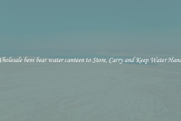 Wholesale beni bear water canteen to Store, Carry and Keep Water Handy
