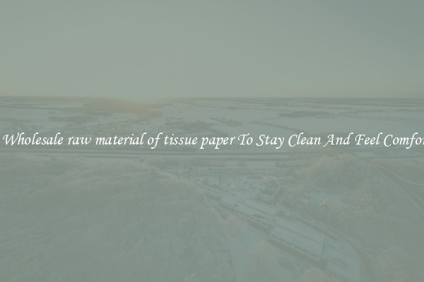 Shop Wholesale raw material of tissue paper To Stay Clean And Feel Comfortable