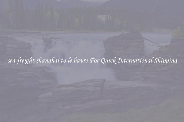 sea freight shanghai to le havre For Quick International Shipping