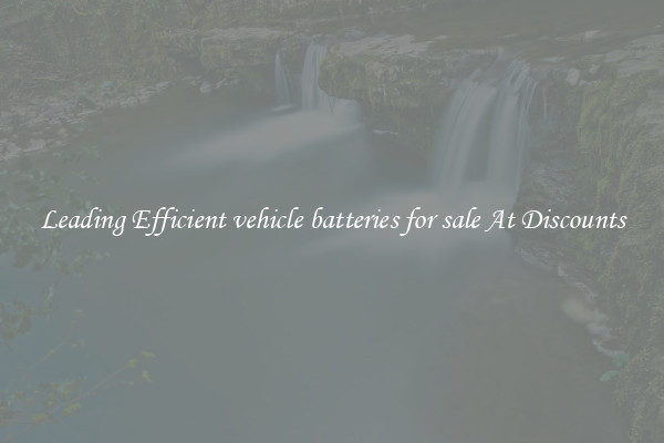 Leading Efficient vehicle batteries for sale At Discounts