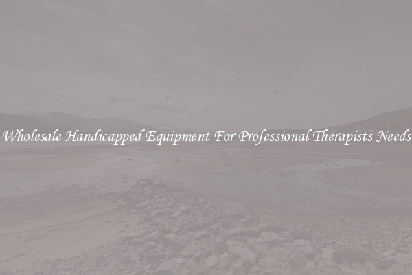 Wholesale Handicapped Equipment For Professional Therapists Needs