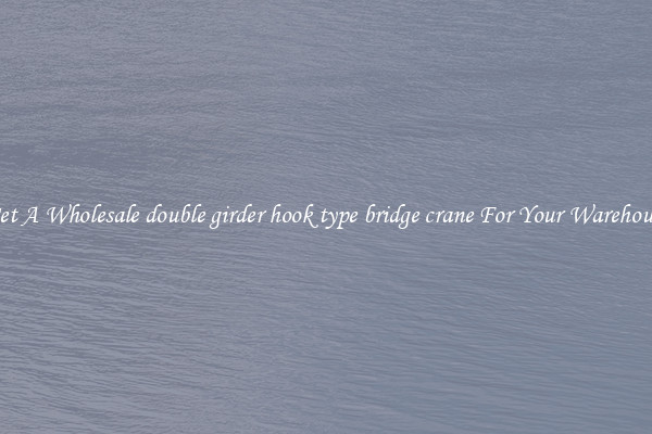 Get A Wholesale double girder hook type bridge crane For Your Warehouse