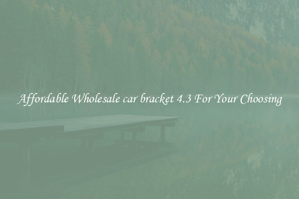 Affordable Wholesale car bracket 4.3 For Your Choosing