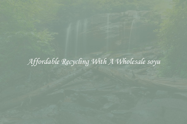 Affordable Recycling With A Wholesale soyu