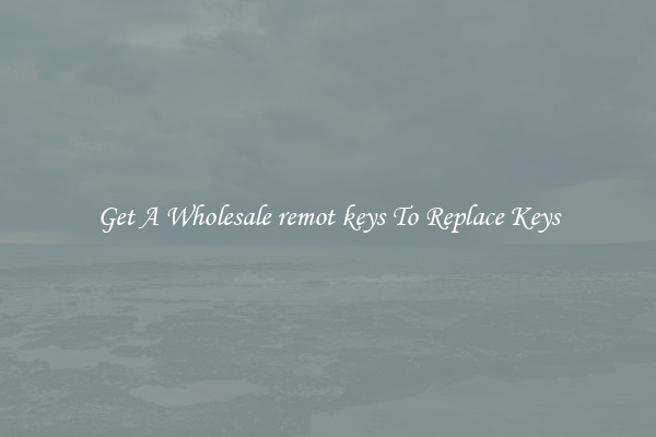 Get A Wholesale remot keys To Replace Keys